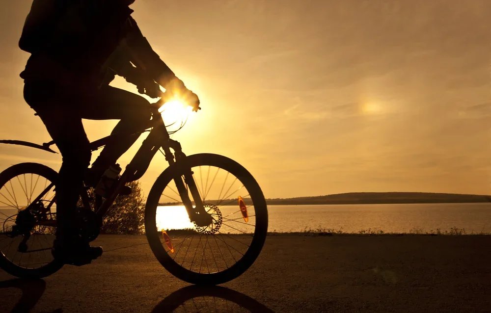 Leisurely Bike Ride on Helderberg - Hudson Rail Trail with Brotherhood  